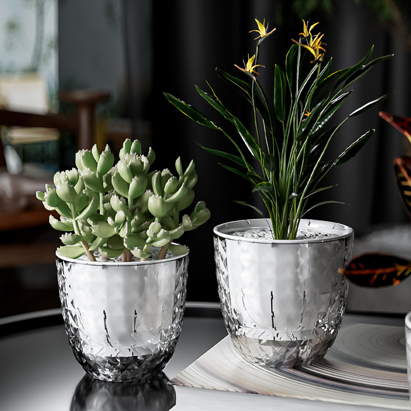 Aloe Vera Pot - 녹색 무용을 위한 투명한 플라스틱 게으른