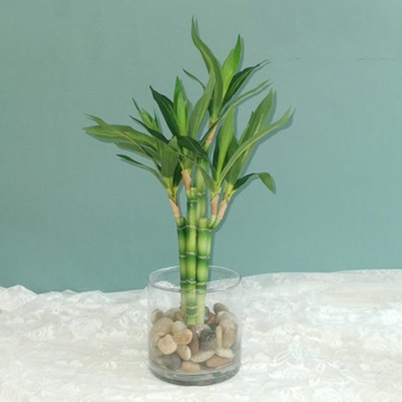 새로운 40cm 인조 행운나무 다육식물 가짜 꽃 녹색  - Echeveria Succulent 리뷰 및 가격