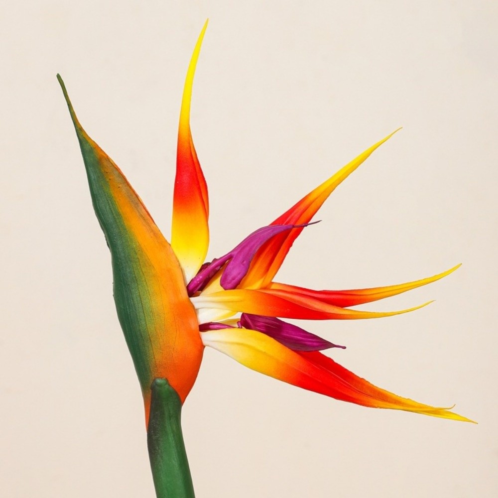 새로운 롱 스템 인조 버드 오브 파라다이스, 실제같은  - Bird Paradise Strelitzia 리뷰 및 가격