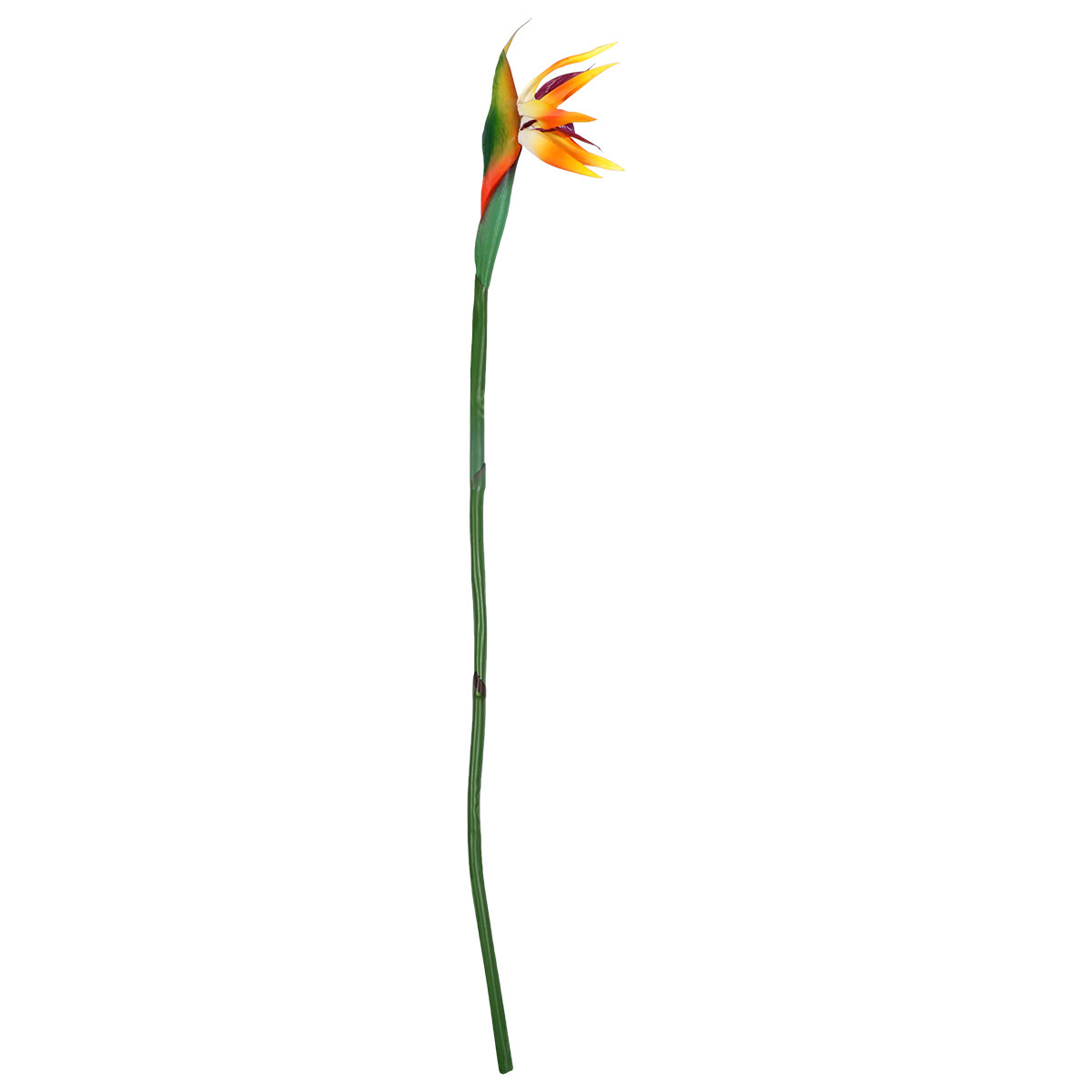 생생한 질감을 살린 인조 스트레리치아 꽃, 부드러운 줄 - Bird Paradise Strelitzia 리뷰 및 가격