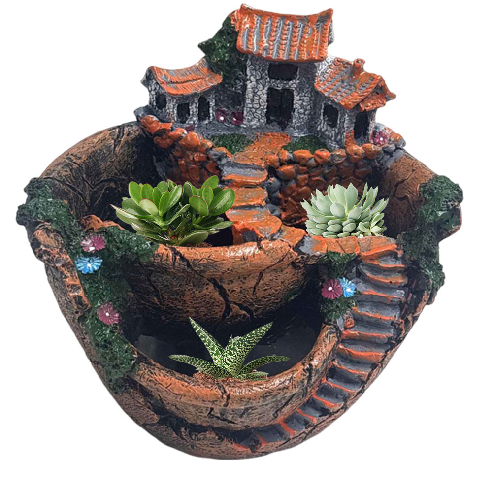 다육식물 화분 빈티지 멀티 화분 장식용 소형 식물 홀더 - Echeveria Succulent 리뷰 및 가격